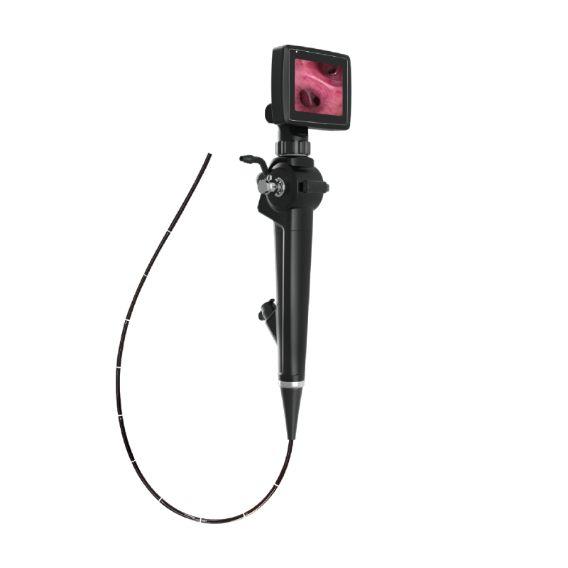Visual flexible laryngoscope