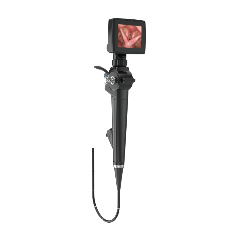 Visual flexible endoscope for ENT